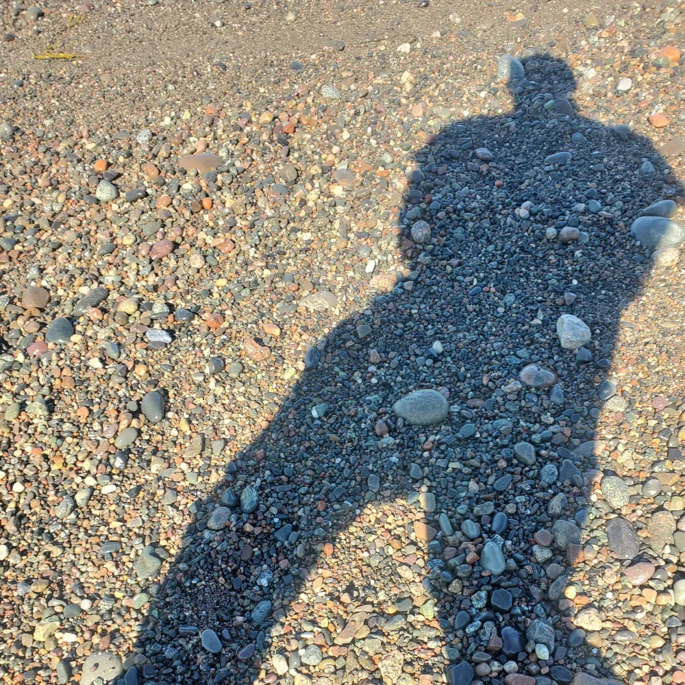 crpar.bsky.social's profile picture