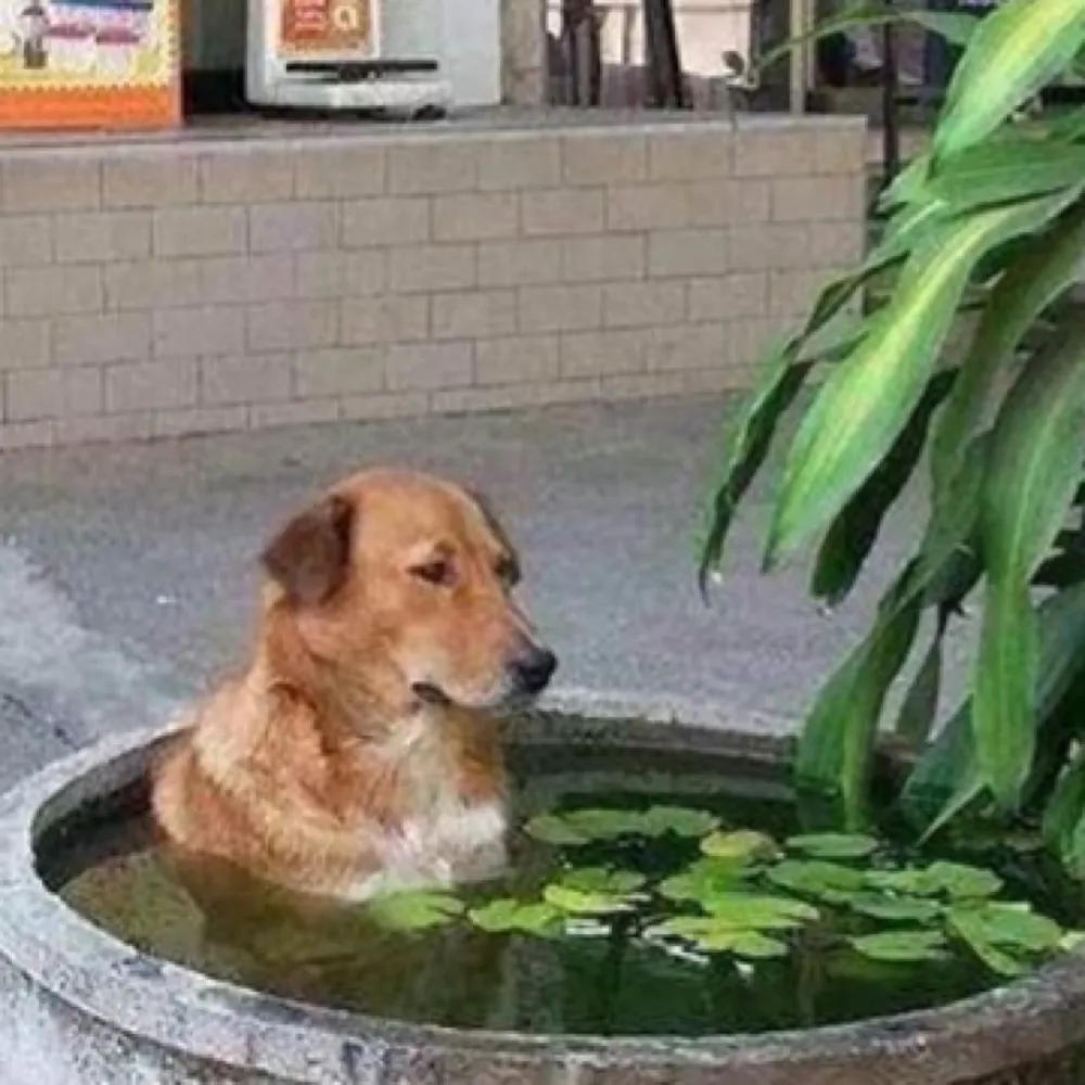 oosihx.bsky.social's profile picture