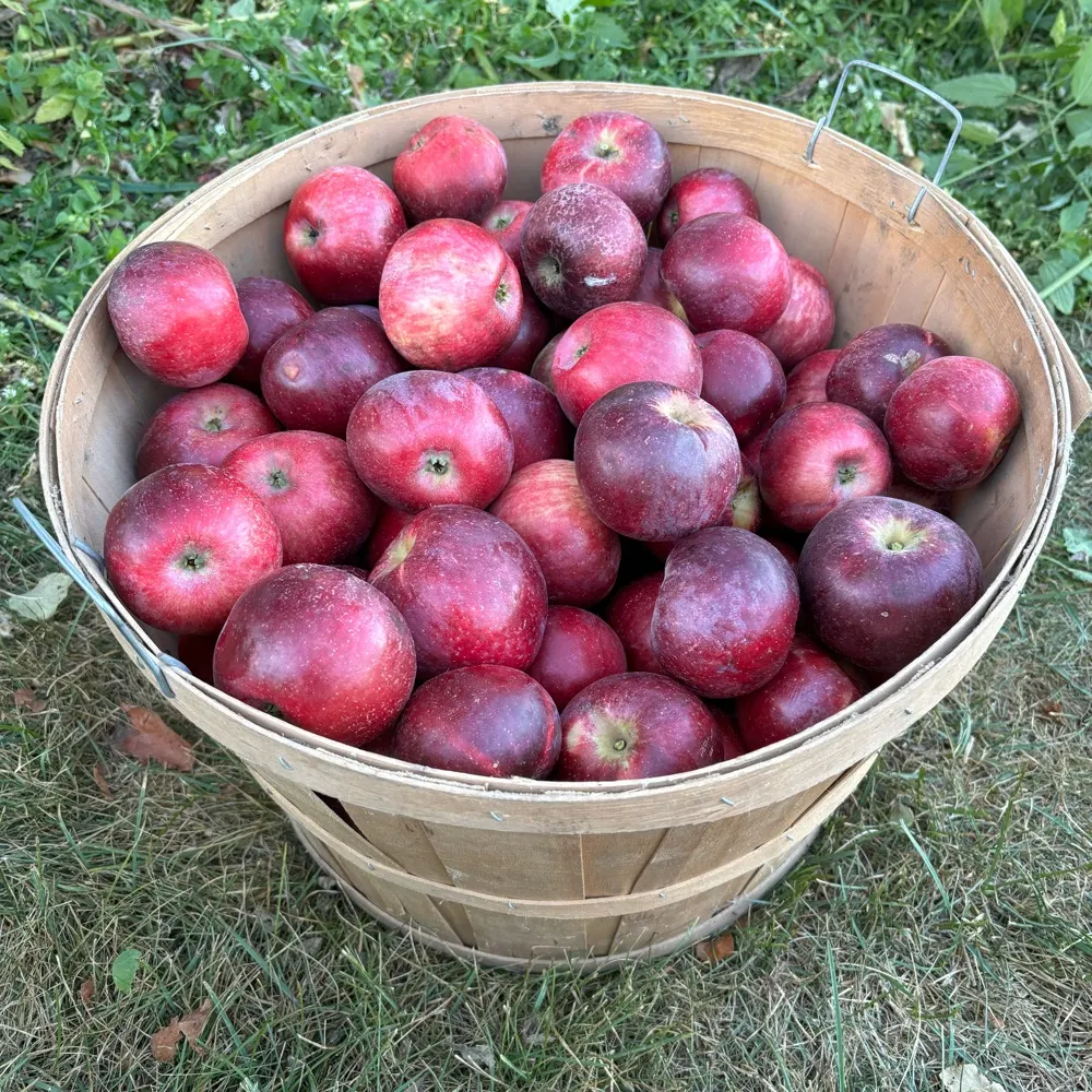 maplebrookmn.bsky.social's profile picture