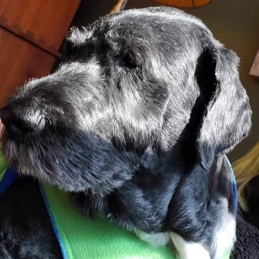 portlyporty.bsky.social's profile picture