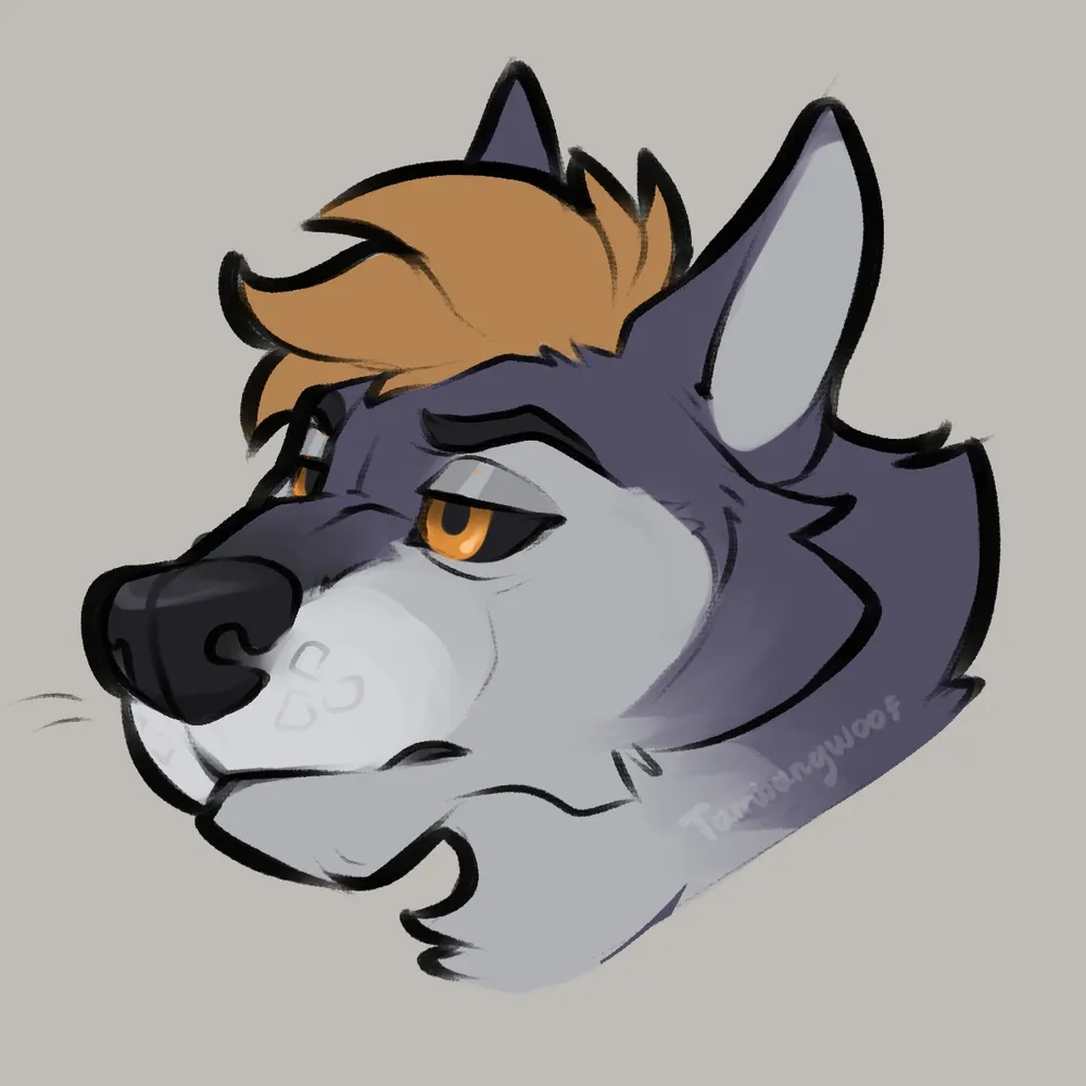 tambangwoof.bsky.social's profile picture