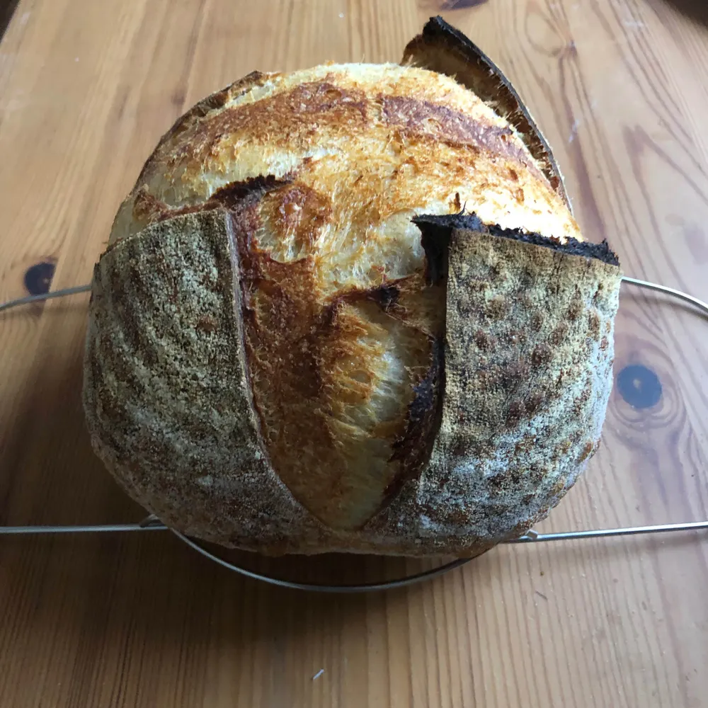 chesedgevurah.bsky.social's profile picture