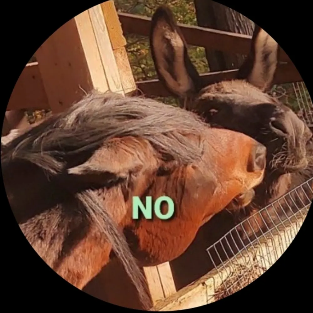 jnxouaquaga.bsky.social's profile picture