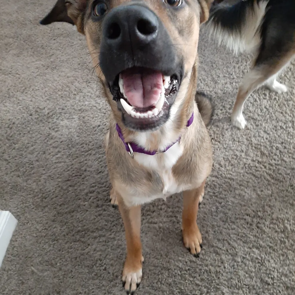 usasocal.bsky.social's profile picture