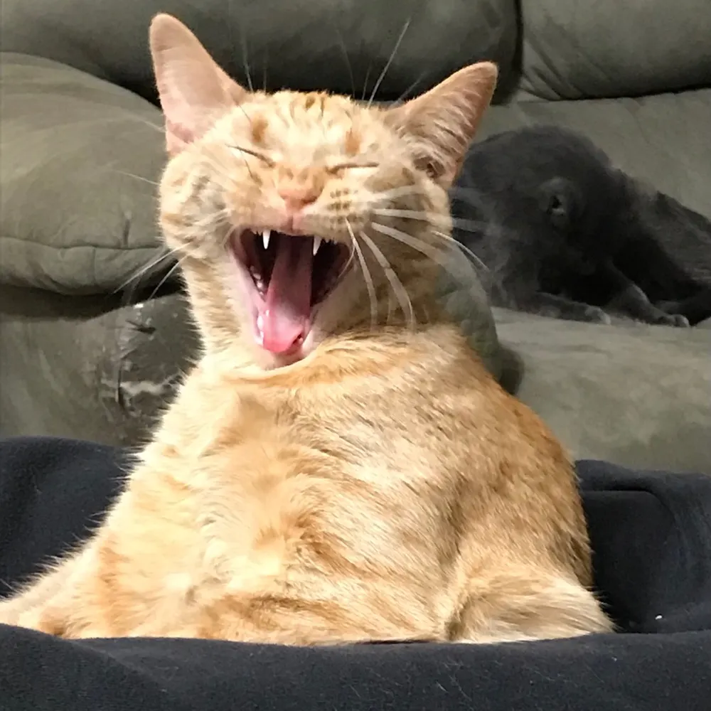 daisybean.bsky.social's profile picture