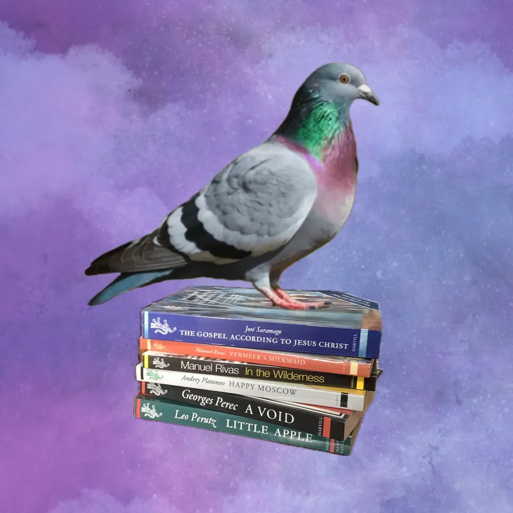 dannyyee.bsky.social's profile picture