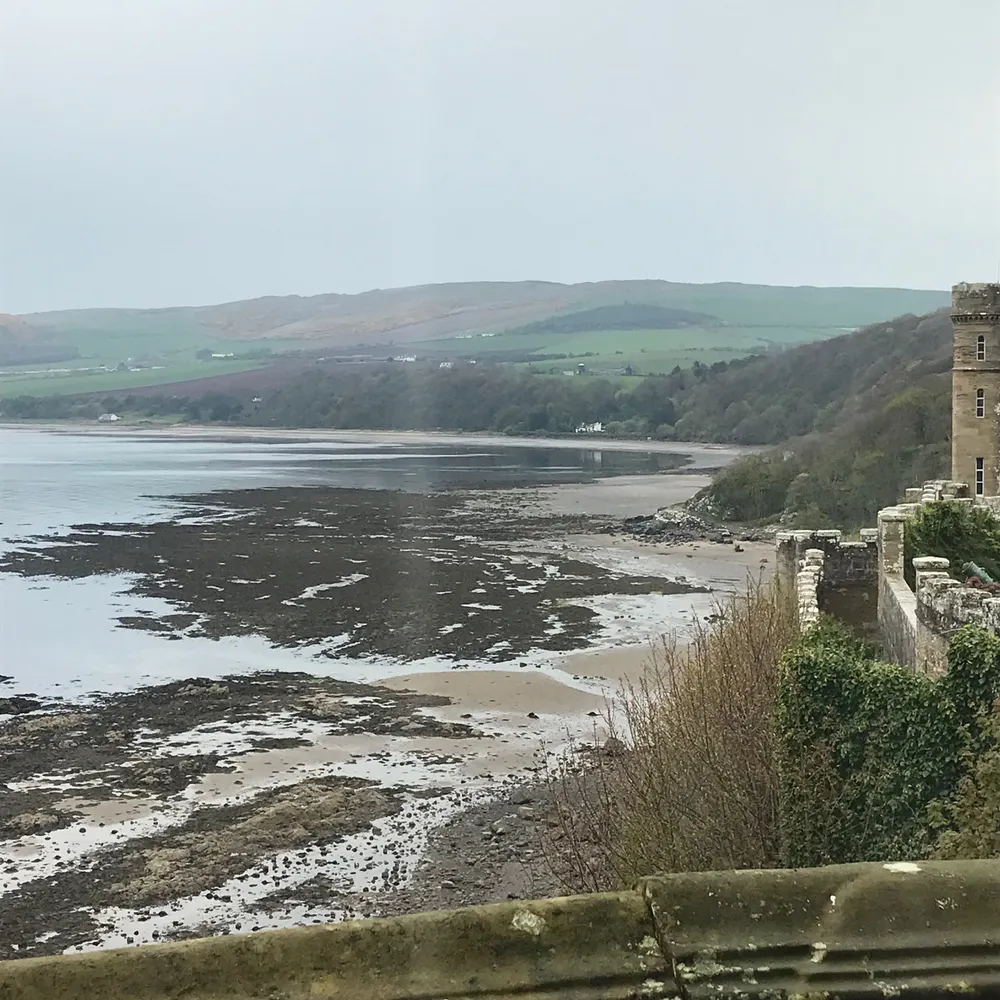 ajjohannson.bsky.social's profile picture