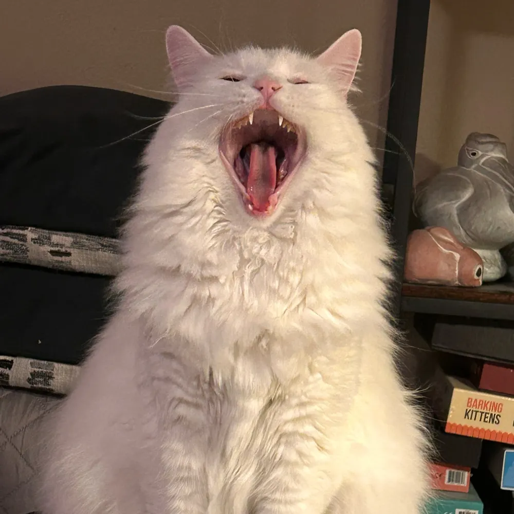 jenhansen31.bsky.social's profile picture