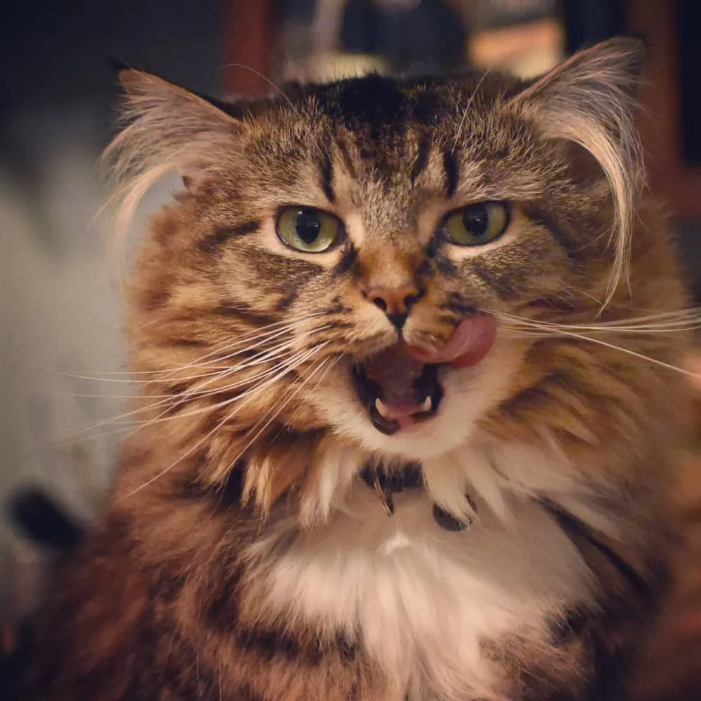 katgab.bsky.social's profile picture