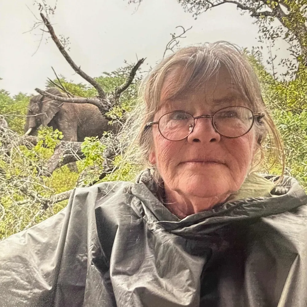 kathyi-c.bsky.social's profile picture