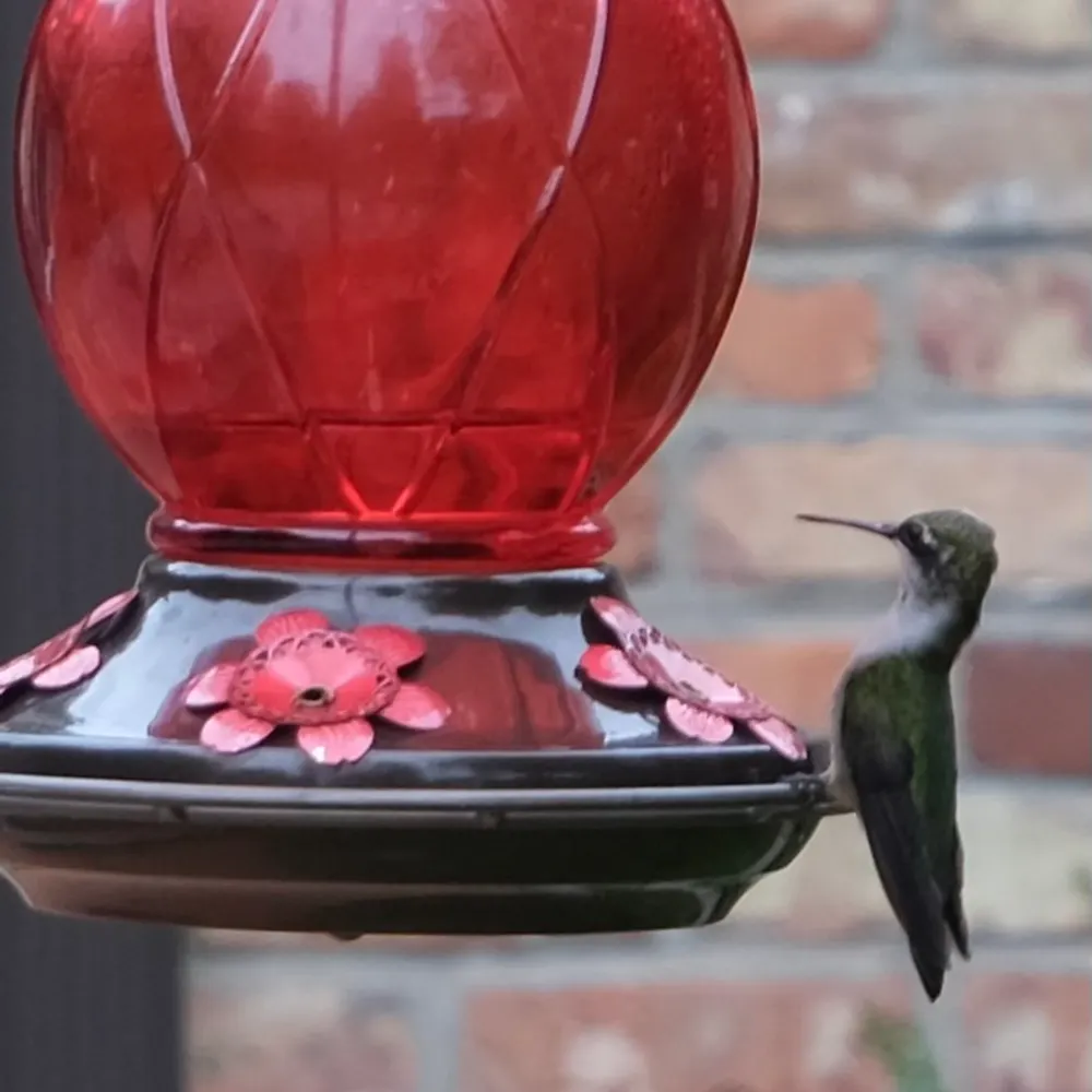 maxpita.bsky.social's profile picture