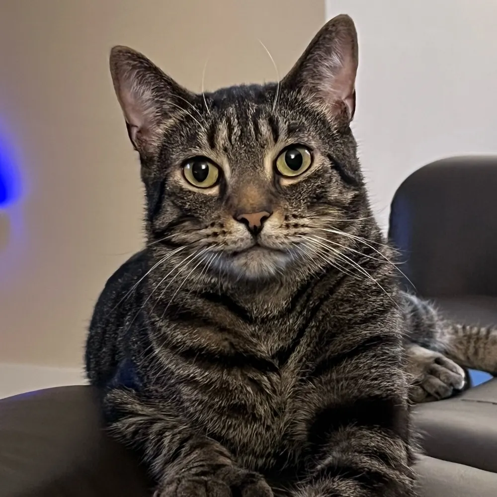 pbyrne13.bsky.social's profile picture