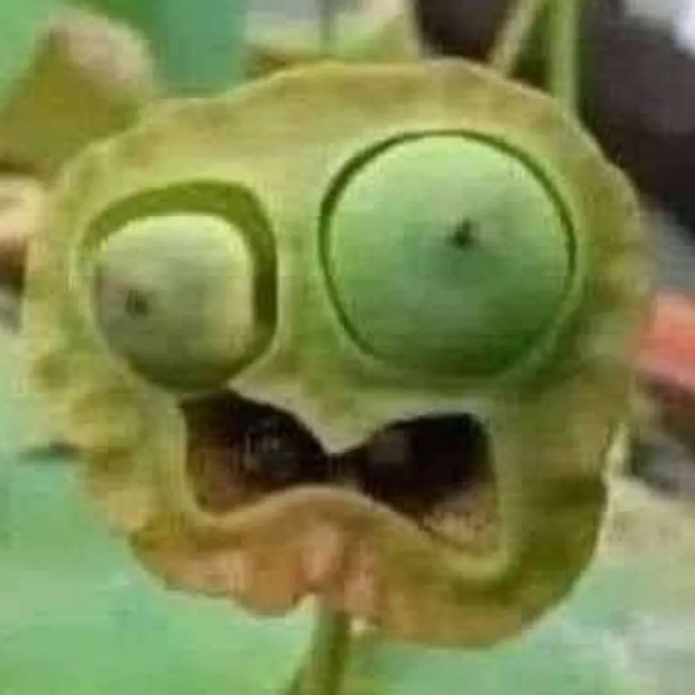 4thstringer.bsky.social's profile picture