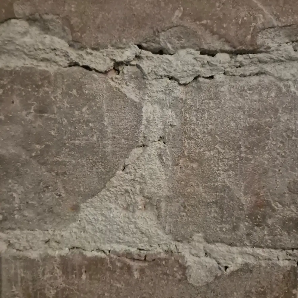 mh8748.bsky.social's profile picture