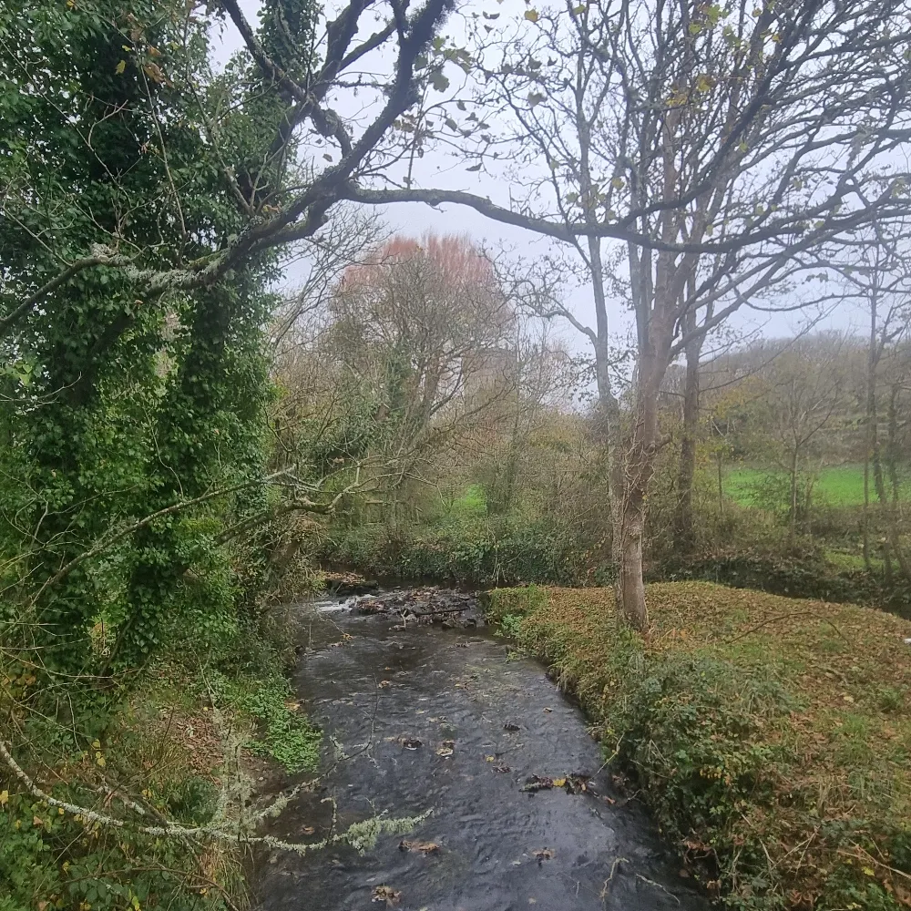 claphamwanderers.bsky.social's profile picture