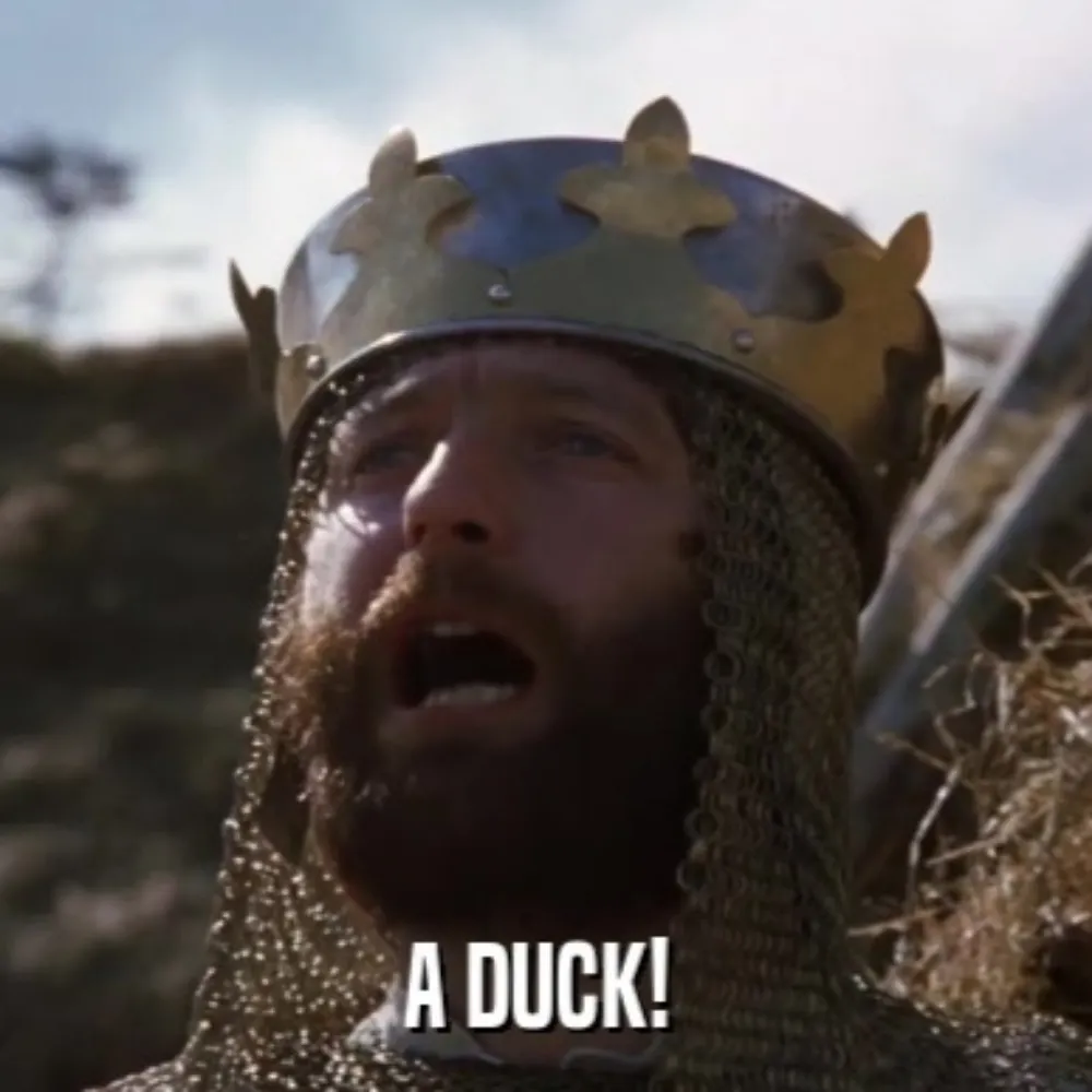 tendrillover.bsky.social's profile picture