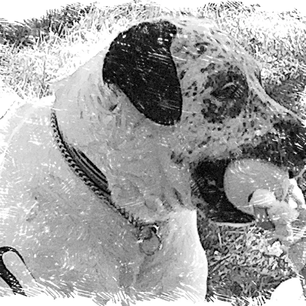 skyproofer.bsky.social's profile picture