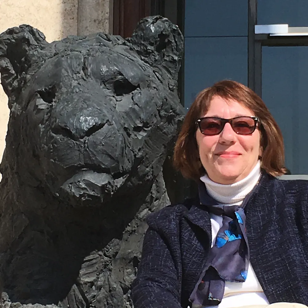 mktsutherland.bsky.social's profile picture