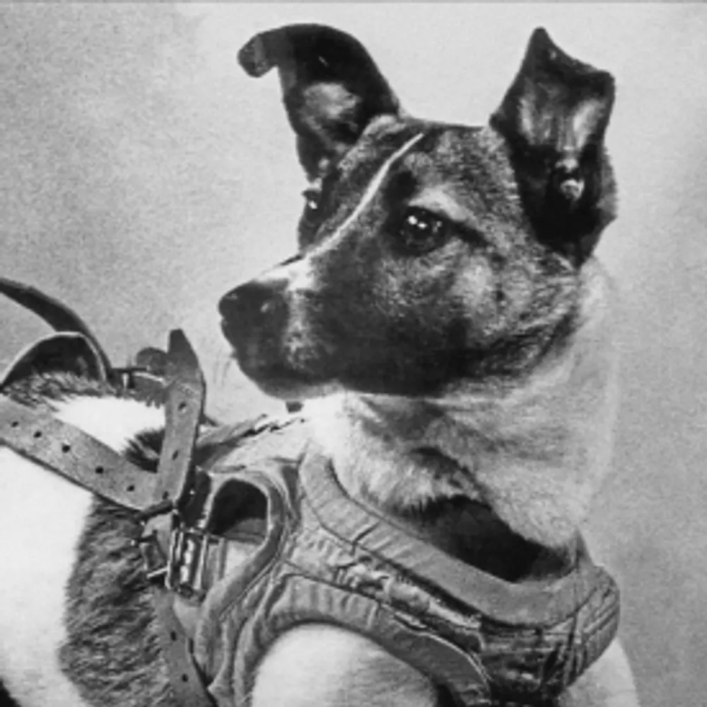 iona.bsky.social's profile picture