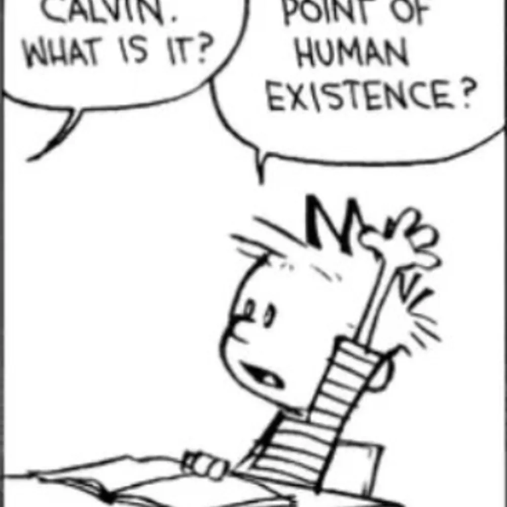 donnythedingo.bsky.social's profile picture