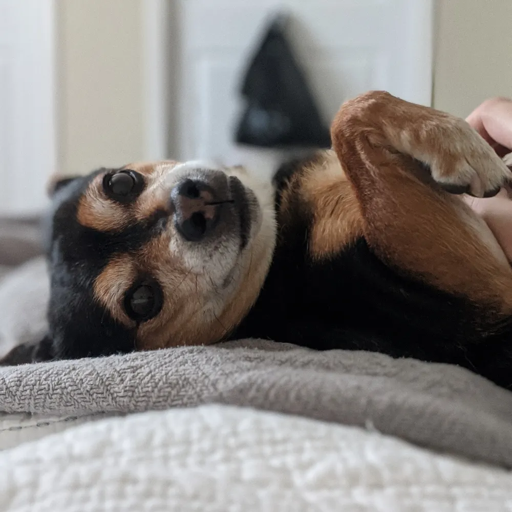 adamkentsmallville.bsky.social's profile picture