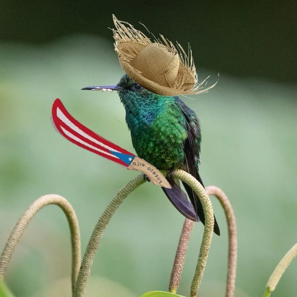 astrophobia.bsky.social's profile picture