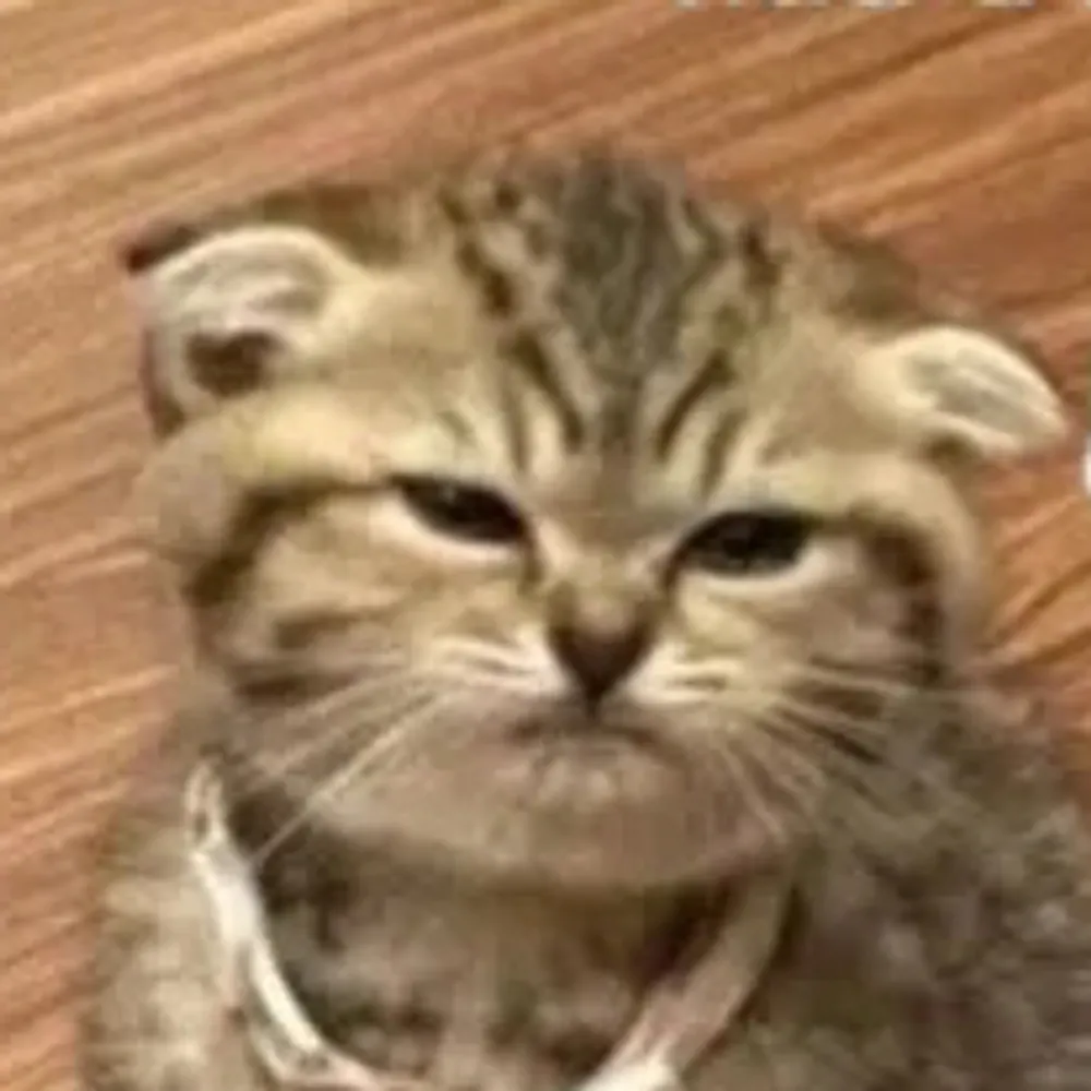 nutbunnies.bsky.social's profile picture