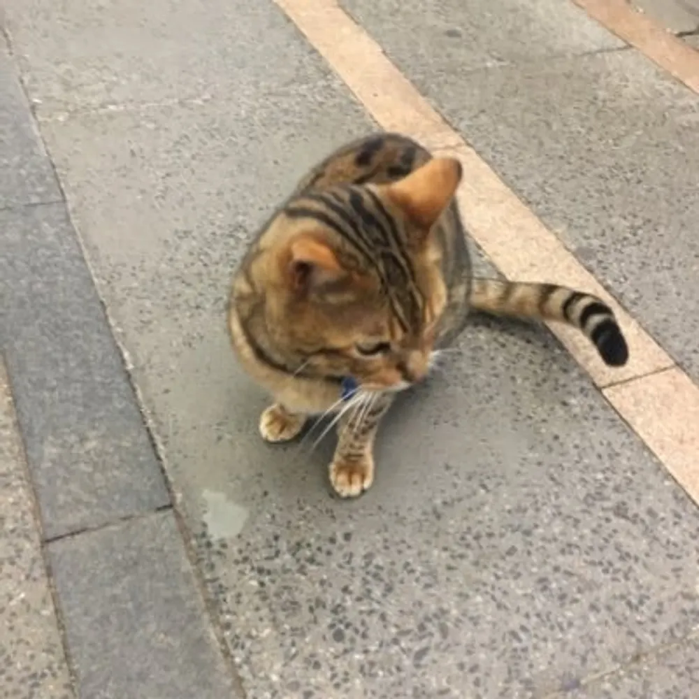 cuntworthy.bsky.social's profile picture