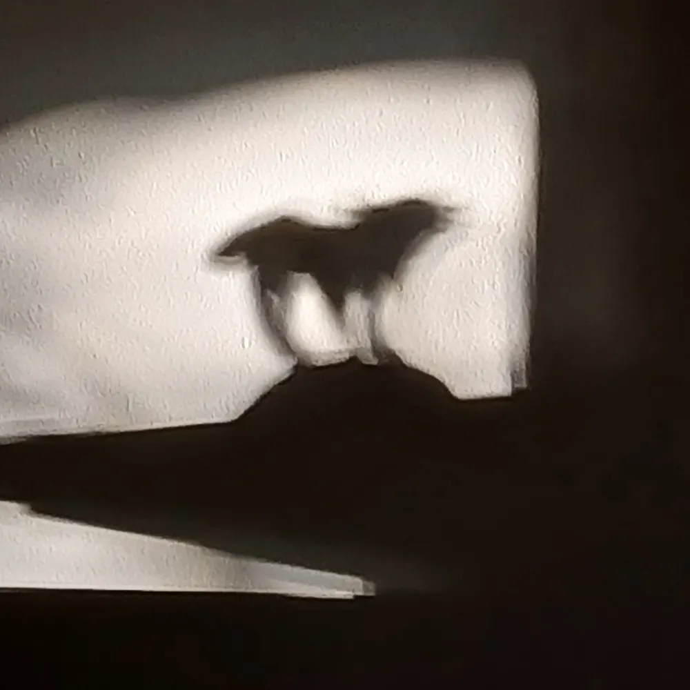 lastof5.bsky.social's profile picture