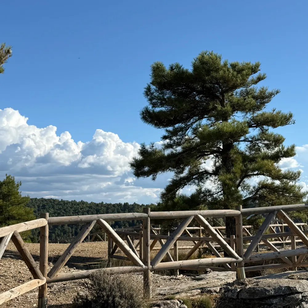 jackiec123.bsky.social's profile picture