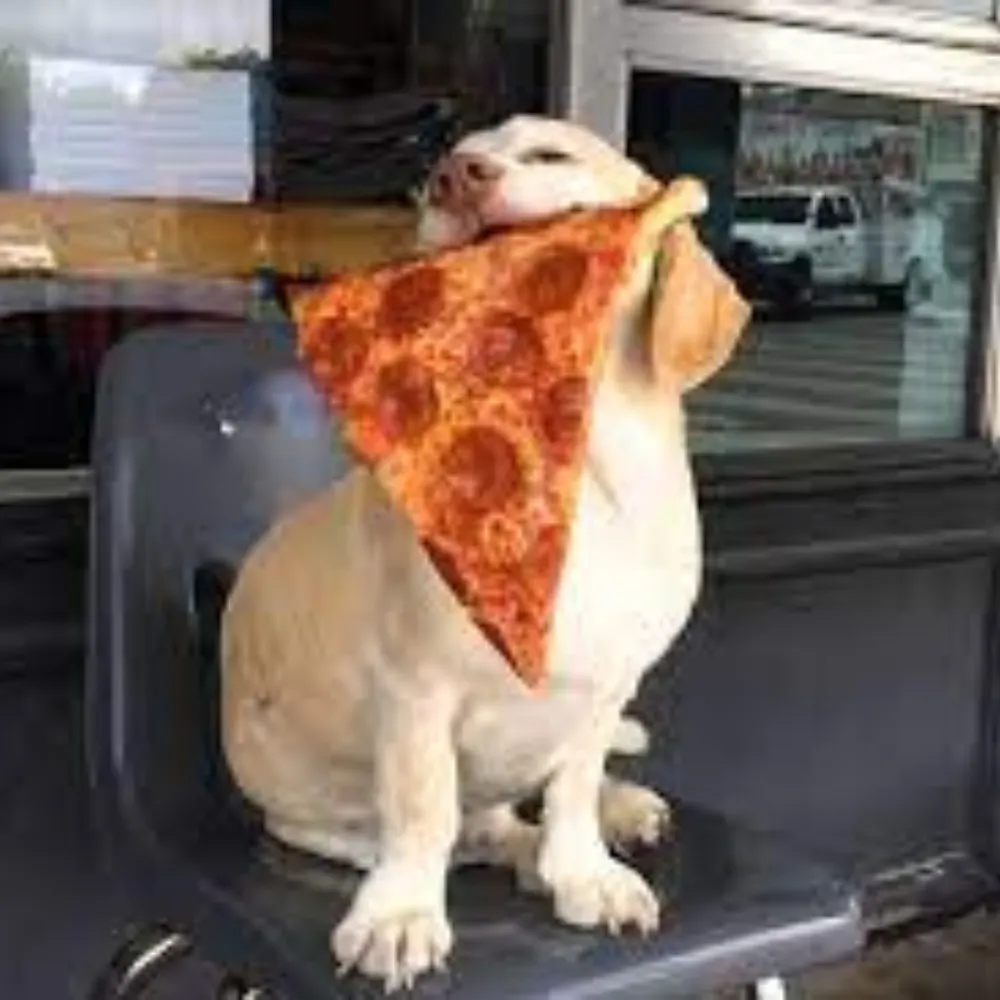 situational-lefty.bsky.social's profile picture