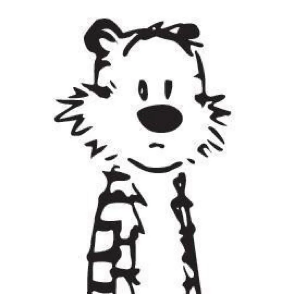 dertim21.bsky.social's profile picture