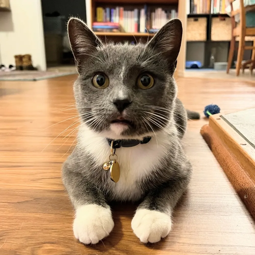 brycee.bsky.social's profile picture