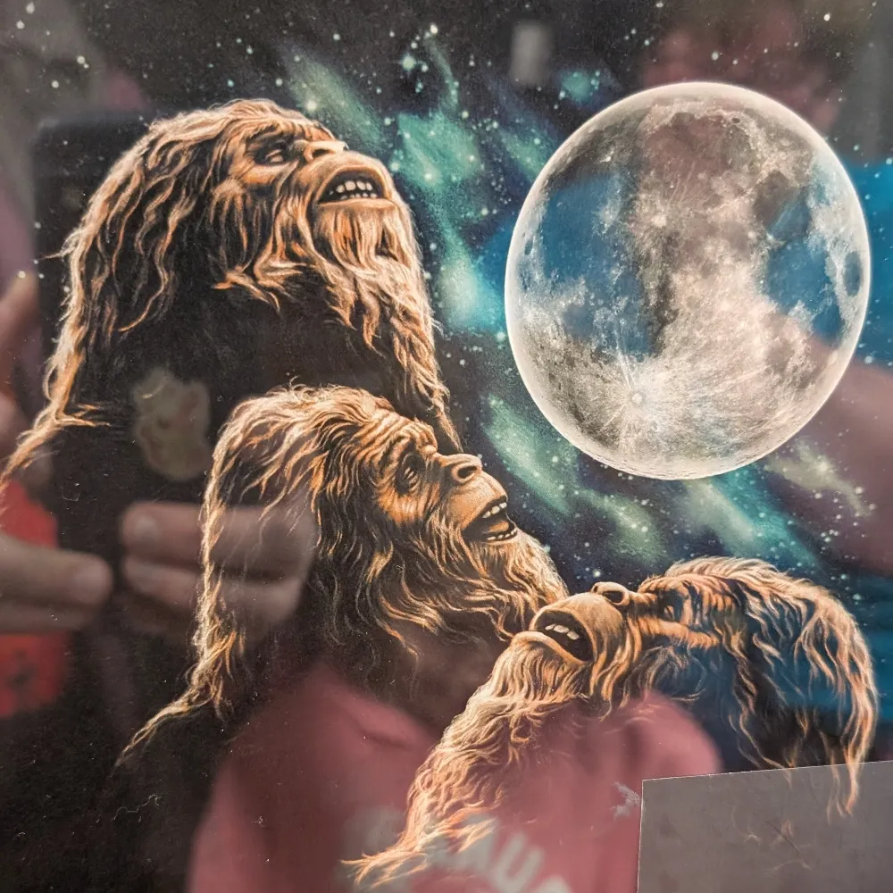 bradcopter.bsky.social's profile picture