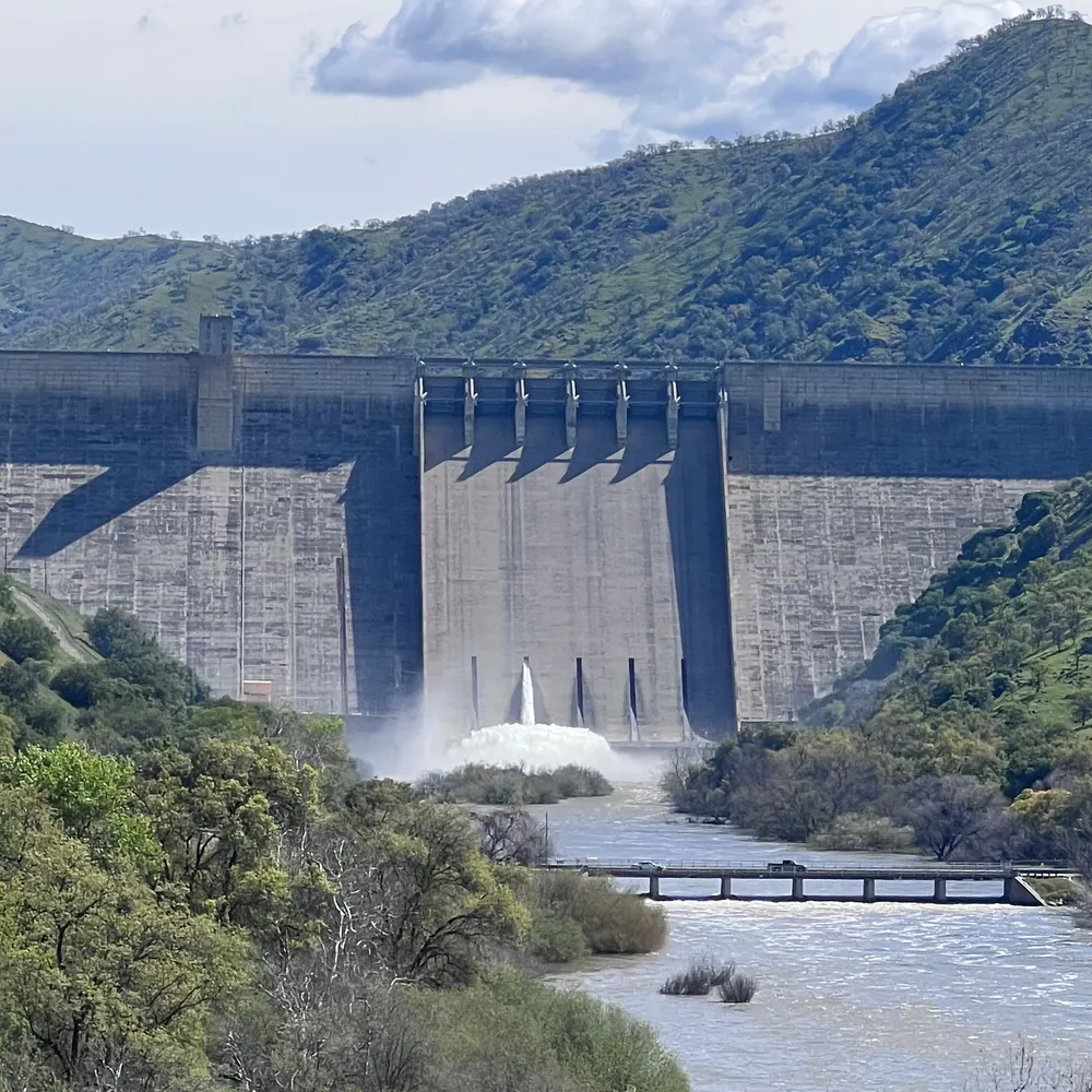 rig84.bsky.social's profile picture