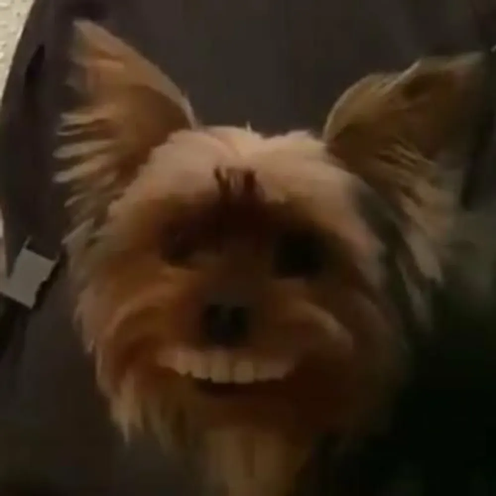 thaleshgs.bsky.social's profile picture