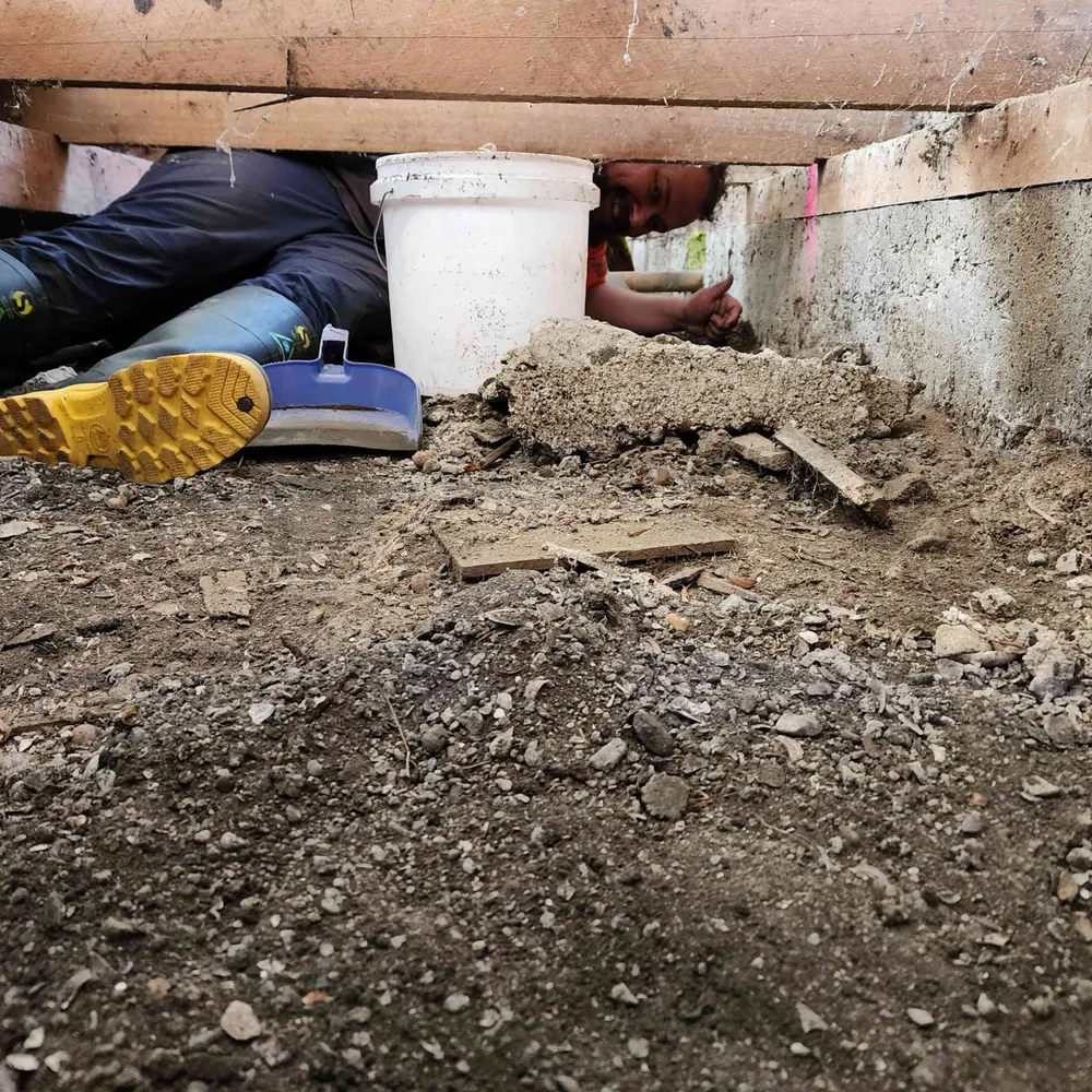 jonocarpenter.bsky.social's profile picture