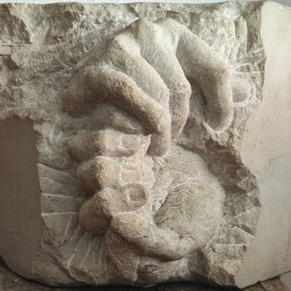 peptorl.eurosky.social's profile picture