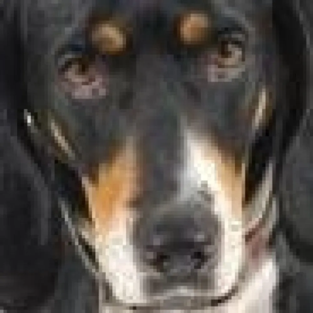 cynthie.bsky.social's profile picture