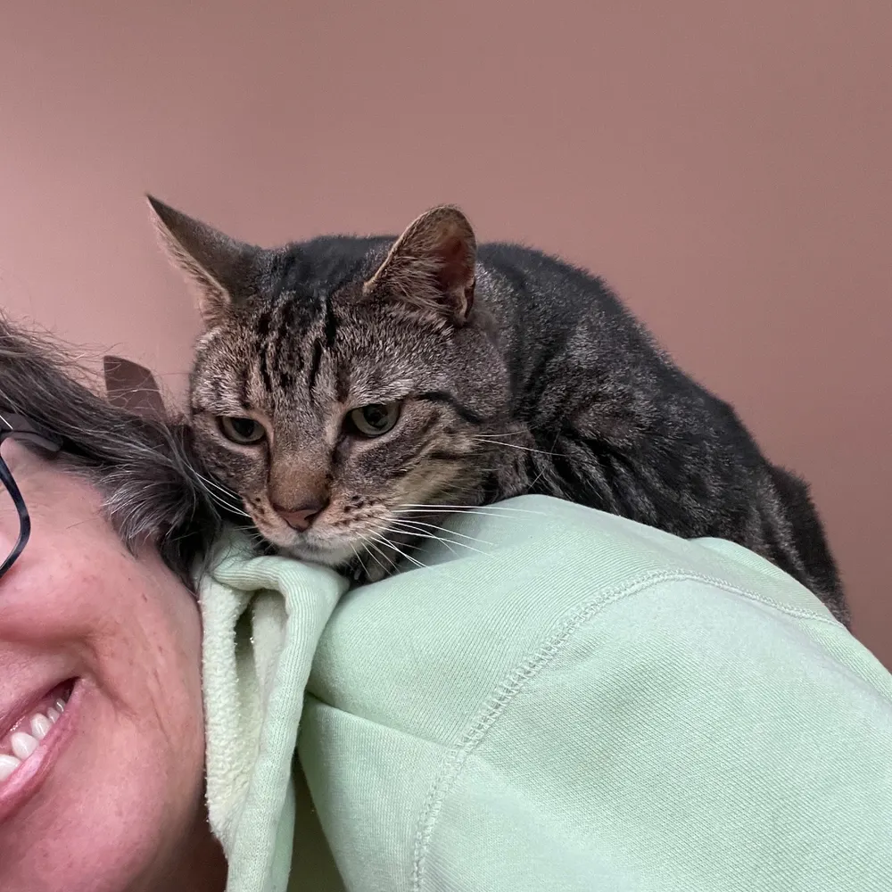 jazziknits.bsky.social's profile picture