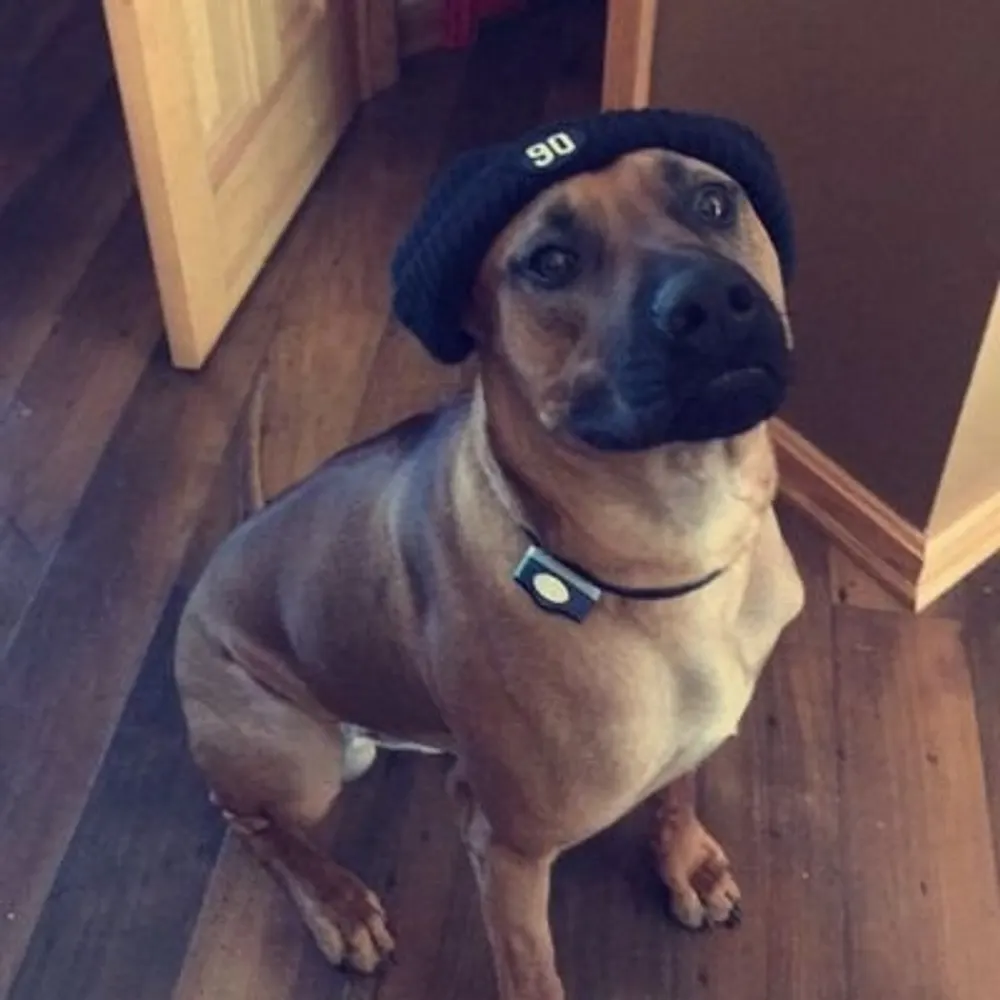 50megatonfbomb.bsky.social's profile picture