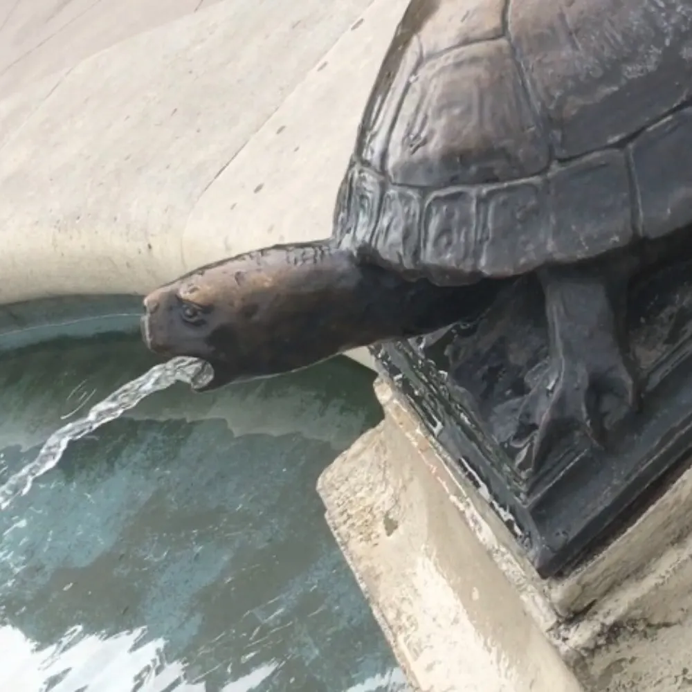 craigburley.com's profile picture