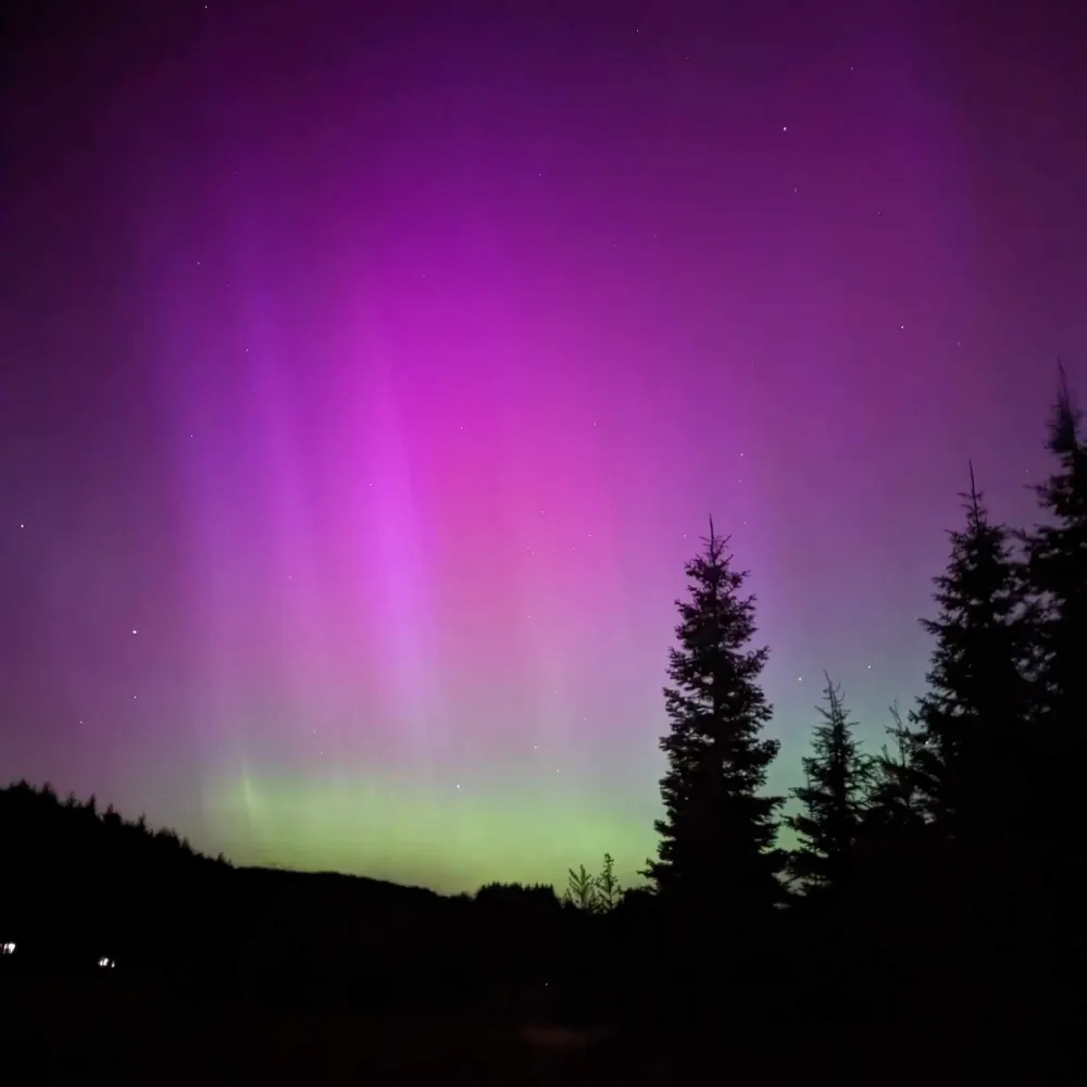 vickiroadtripper.bsky.social's profile picture