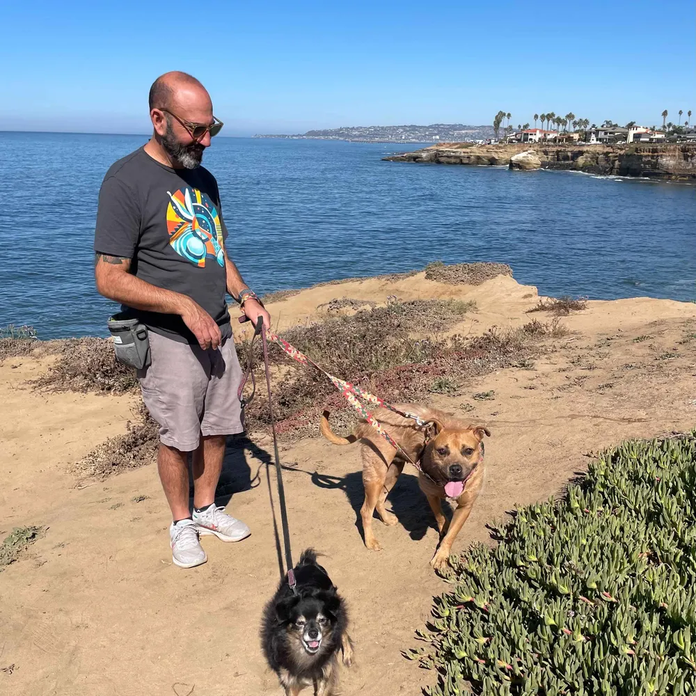 genexe.bsky.social's profile picture