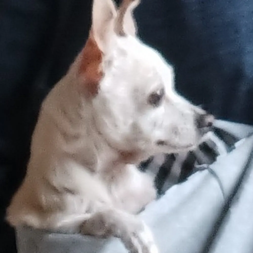 londondover.bsky.social's profile picture