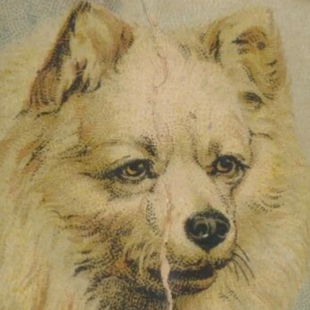 anchistorian.bsky.social's profile picture