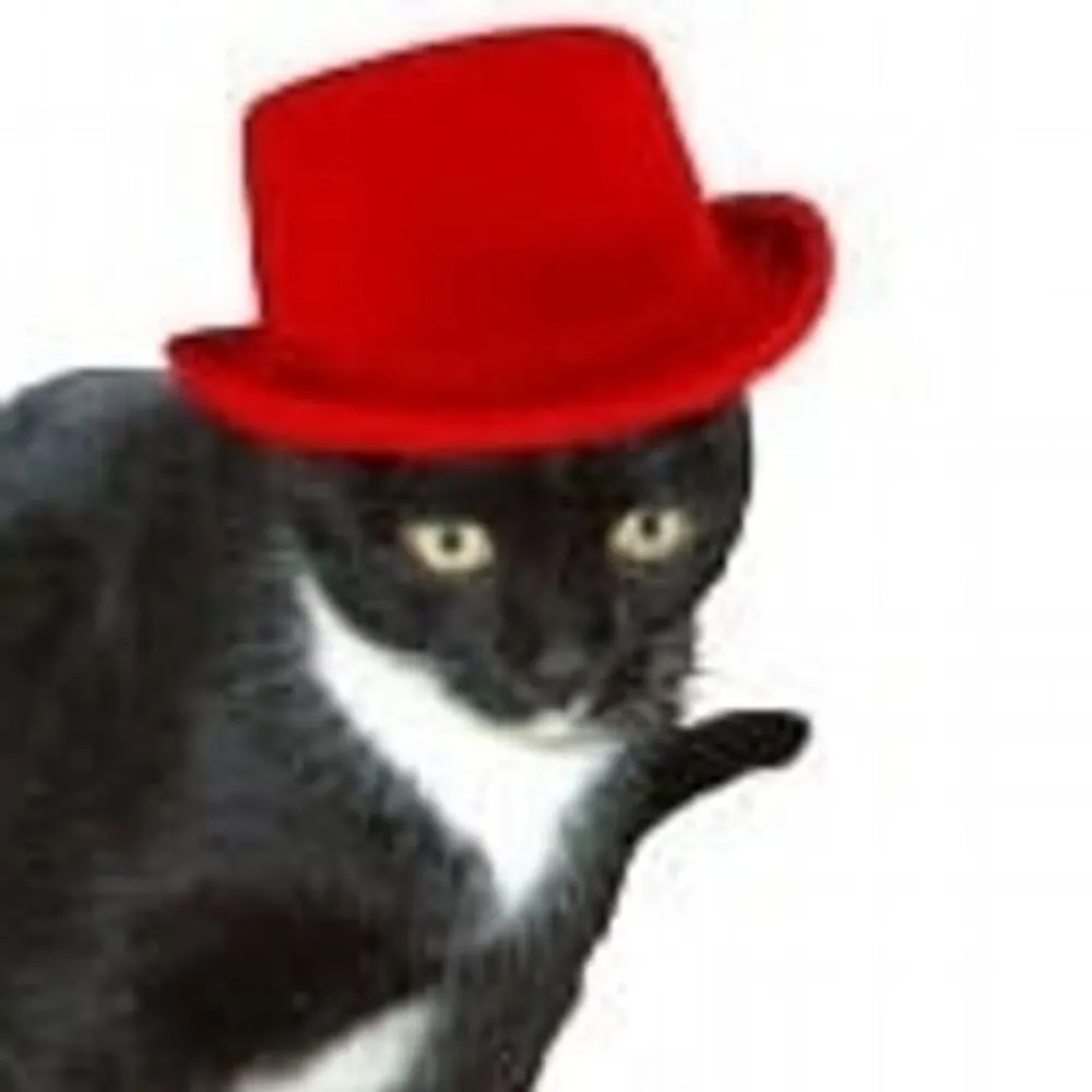 crucialwax.com's profile picture