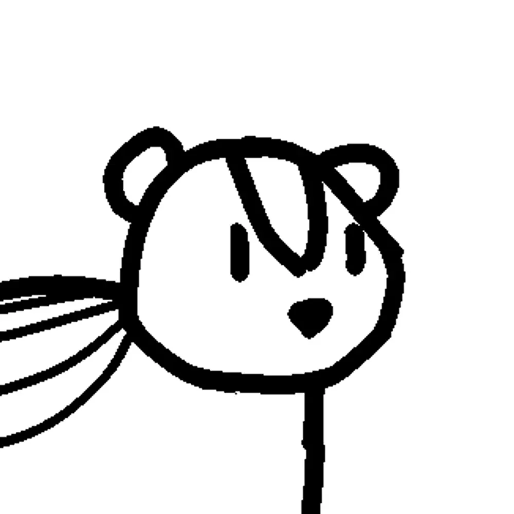 cielskunk.bsky.social's profile picture