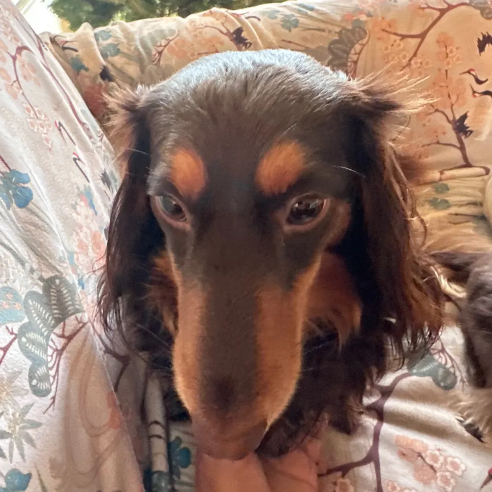 seasherm.bsky.social's profile picture