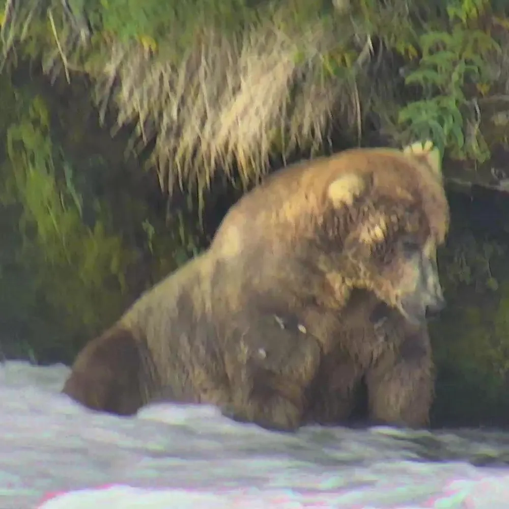 emmalulu67.bsky.social's profile picture